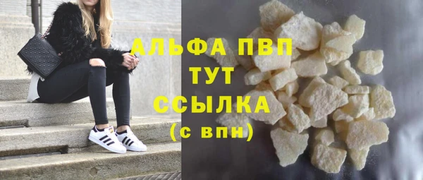 винт Ельня