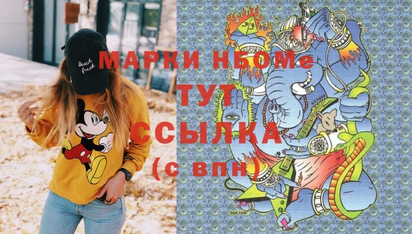 винт Ельня