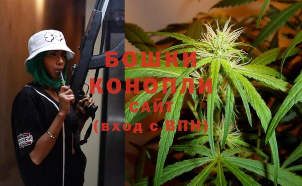 винт Ельня
