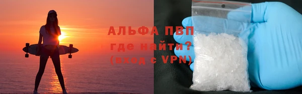 винт Ельня