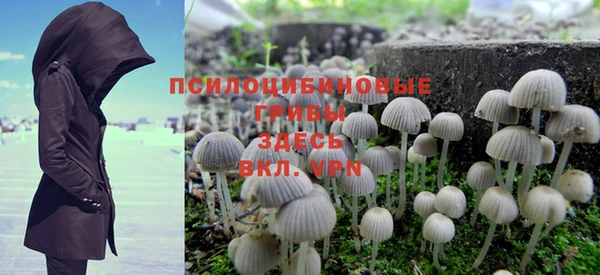 винт Ельня