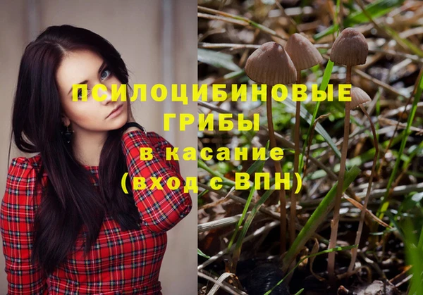 spice Елабуга