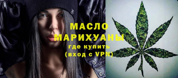 винт Ельня