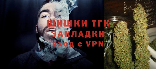 винт Ельня